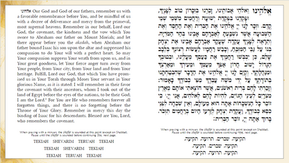 Tishrei Davening - Peirush Tefillah Exclusive